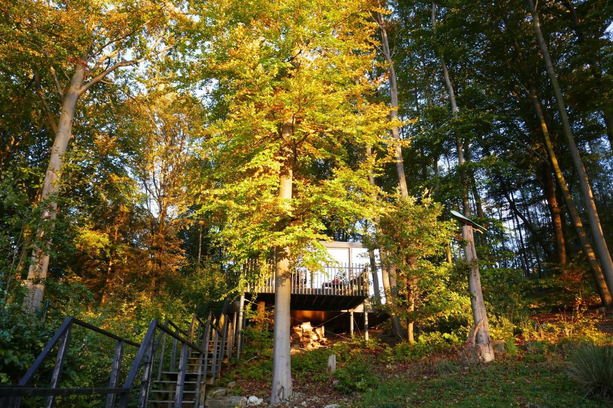 Gite Des Bois De Spa Exterior foto